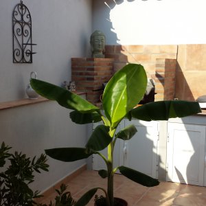 Patio grand